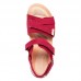 Женские сандалии Clarks Tri Walk 26141896, бордовые